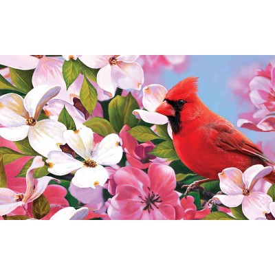Cardinal Flowers
